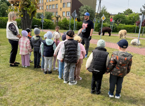 AKTYWNOŚCI CZERWIEC